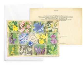 Bach Flower Greetings Cards. The 12 Healers, pack of 3