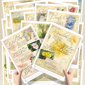 38 Cartazes de Flores para Essências de Bach. Conjunto Completo (A4)