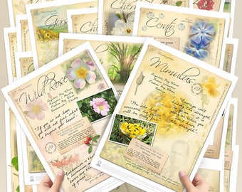 38 Flower Posters for Bach Essences. Complete Set (A4)