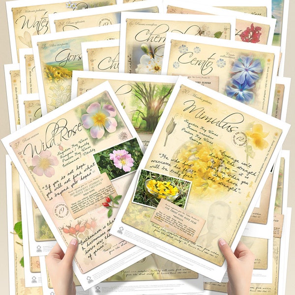 38 Flower Posters for Bach Essences. Complete Set (A4)