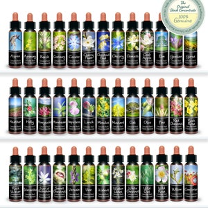 Bach Flower Essence Set of 40 Genuine Traditional Stock Remedies Boxed Quality Kit. 10ml image 3