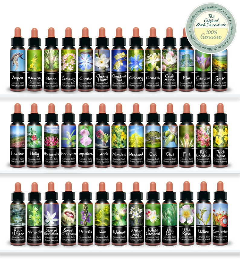 Bach Flower Essence Set of 40 Genuine Traditional Stock Remedies Boxed Quality Kit. 10ml image 3