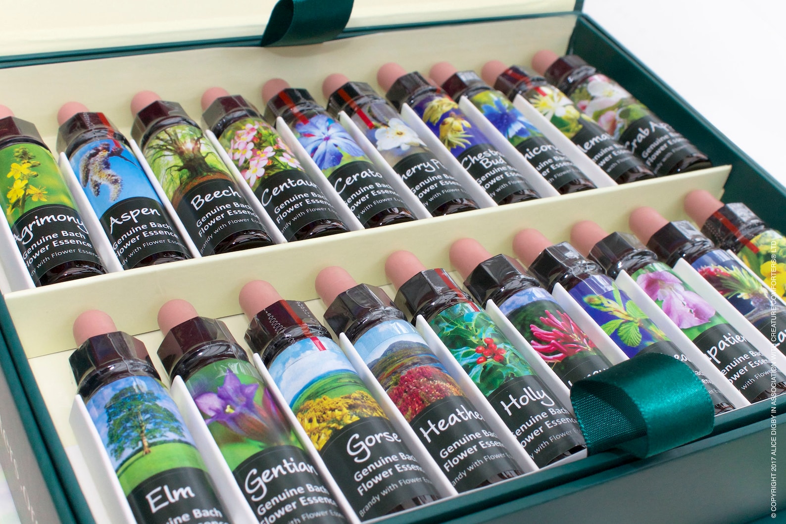 Bach Flower Essence Complete Kit in Wooden Case. Practitioner Etsy Canada