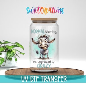 Funny Donkey Normal Is Boring So I Upgraded To Crazy UV DTF Decal | UV972