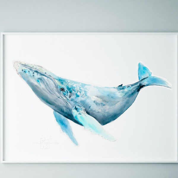 Humpback Whale Art print, Watercolour by Sophie Dufresne Guindon, Québec
