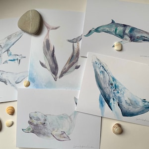 Baleines et dauphins, ENSEMBLE de 5 cartes de souhaits, mers et océan, vie sous-marine