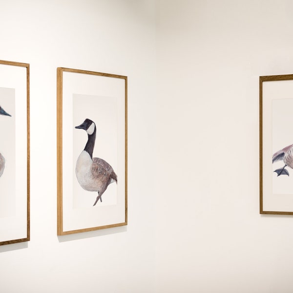 Ensemble de 3 Illustrations oies sauvages bernache-outarde, art minimaliste, peinture d'oiseaux, aquarelle et dessin