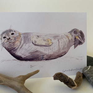 SEAL at low tide - Greeting card, watercolor, made in Quebec
