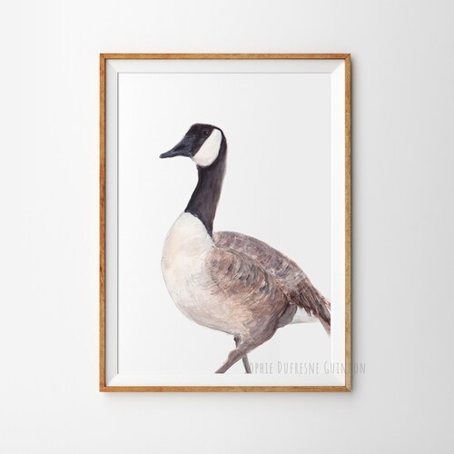Canadian Goose Painting Art Print Birds Wall Decor Animals Etsy