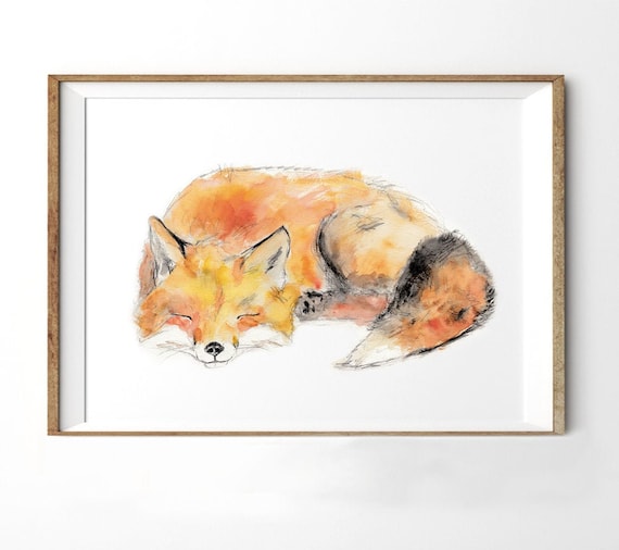 Illustration renard qui dort, aquarelle, décoration minimaliste