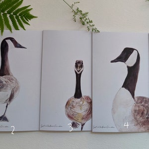 greeting cards, WILD GEESE