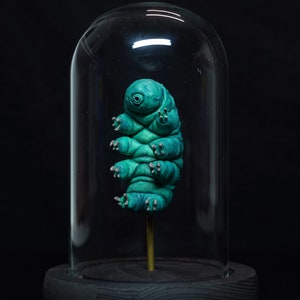 Giant Tardigrade (Water Bear) specemin sculpture in Bell Jar