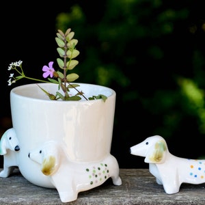 Set Dackel Pflanzer und Figur Dackel Einzigartiges Geschenk Lustiger Pflanzer Hund, Blauer Blumentopf Hund-Liebhaber-Geschenk, Doxie, Dackel, Dackel