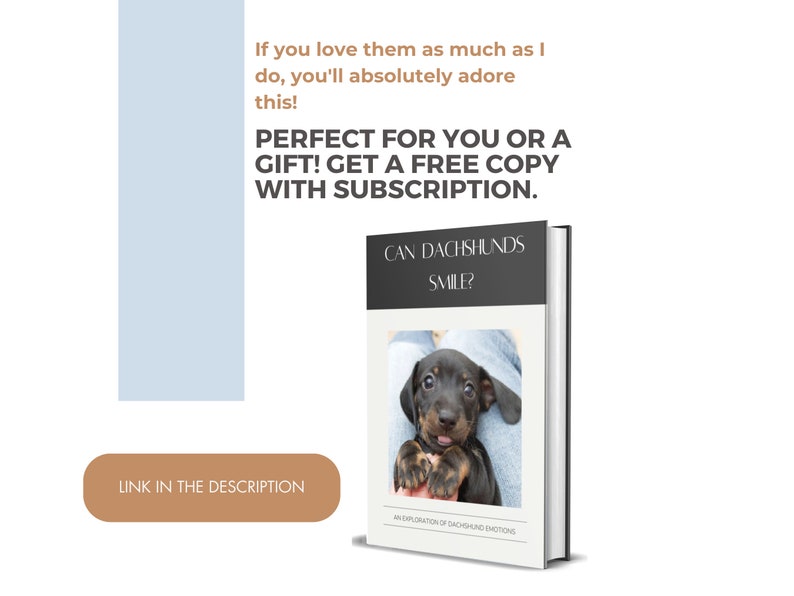 May include: A book cover with a black and brown dachshund puppy on the front. The title of the book is "Can Dachshunds Smile?" An exploration of dachshund emotions.
