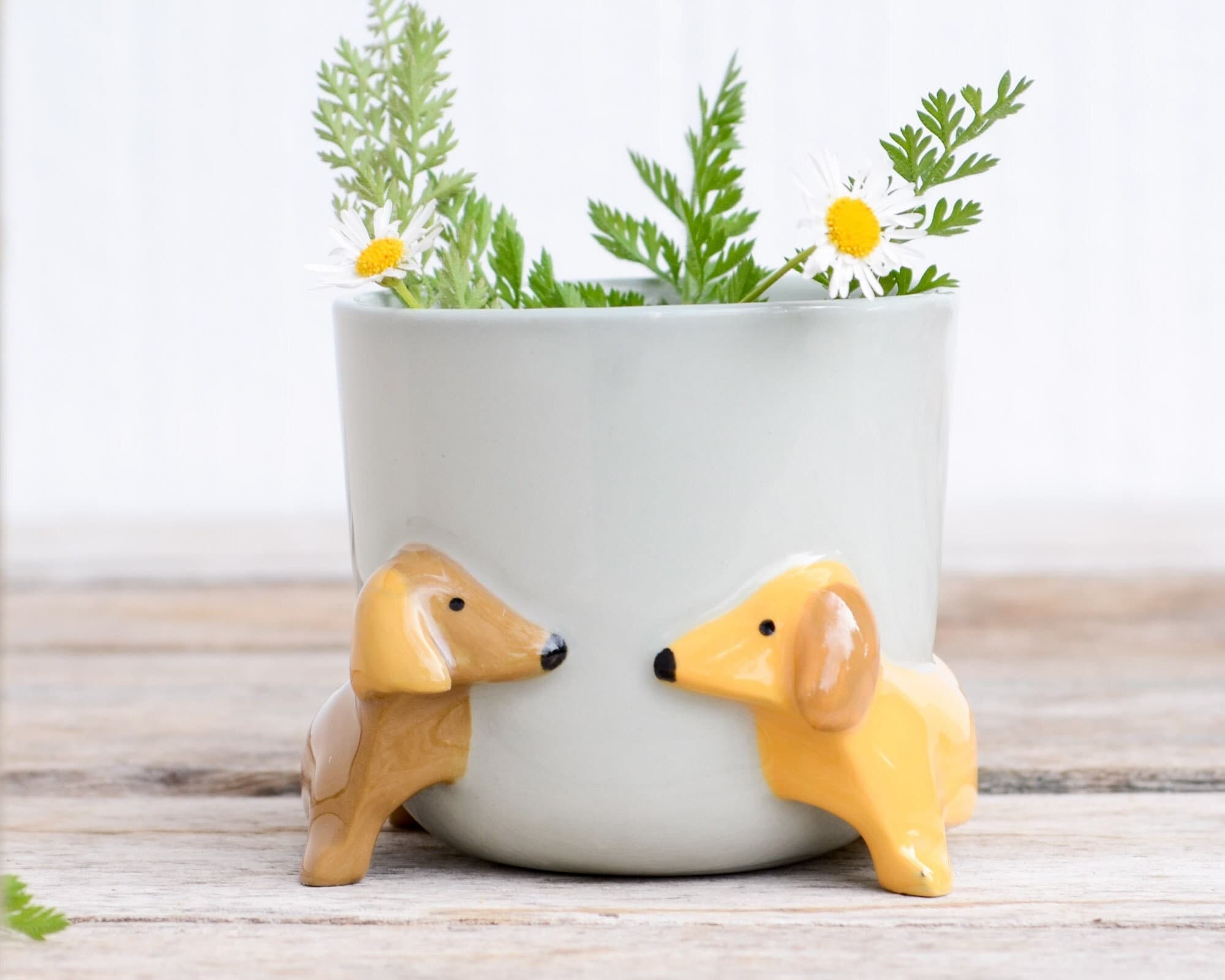 Dackel bertopf Sukkulenten Pflanzentopf Niedliches Tier Blumentopf  Blumentopf Schner Kleiner Hund Haus Garten Dekor Blumentpfe  Geburtstagsgeschenk - Etsy.de