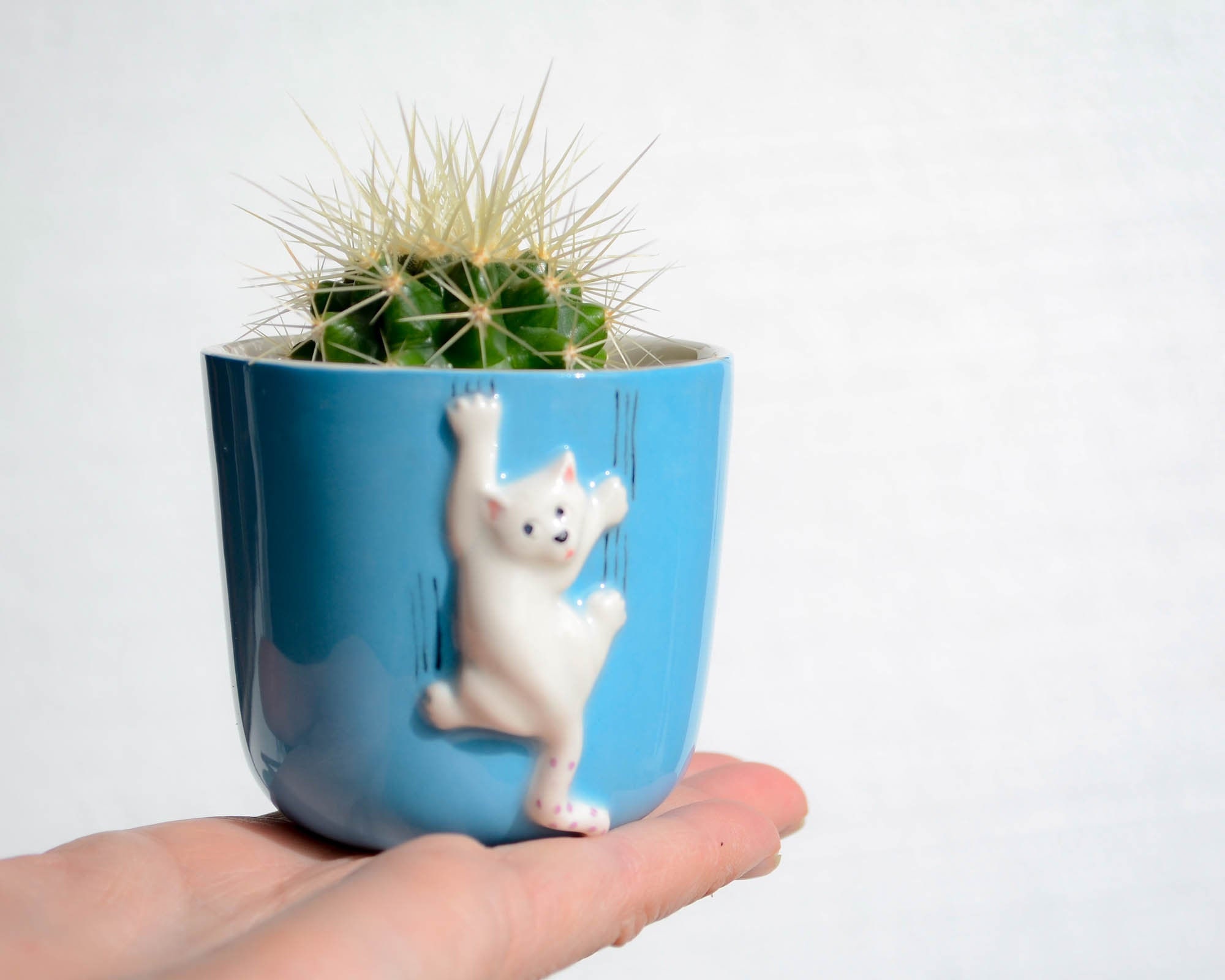 Décor de Chaton, Pot Jardinière Succulente Pour Chat Mignon, Récipient Plante en Céramique Blanche, 