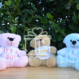 Ours en peluche