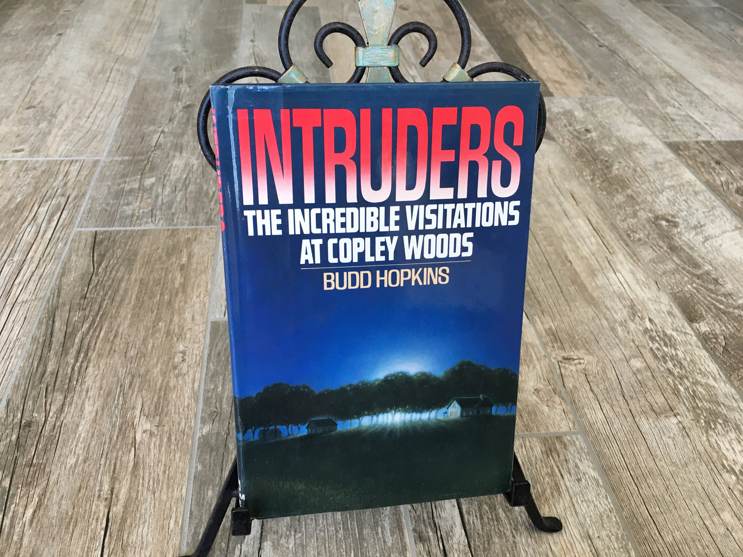 Intruders: The Incredible Visitations at Copley Woods