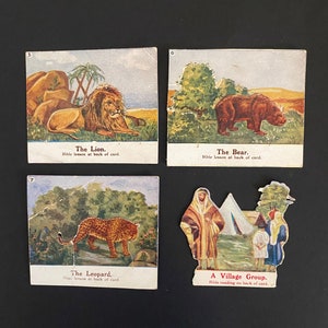 Tarjetas de lecciones de estudio bíblico vintage (década de 1930), lecciones de escuela dominical, tarjetas emergentes, animales de enseñanza cristiana en la Biblia: león, oso, leopardo