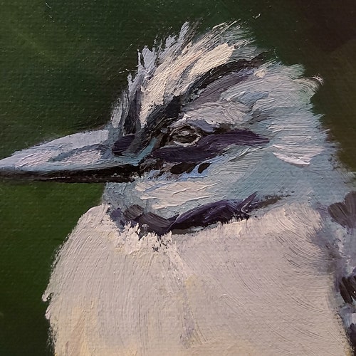 Original oil painting on canvas, shops bird, Costa Rica bird, painting of nature