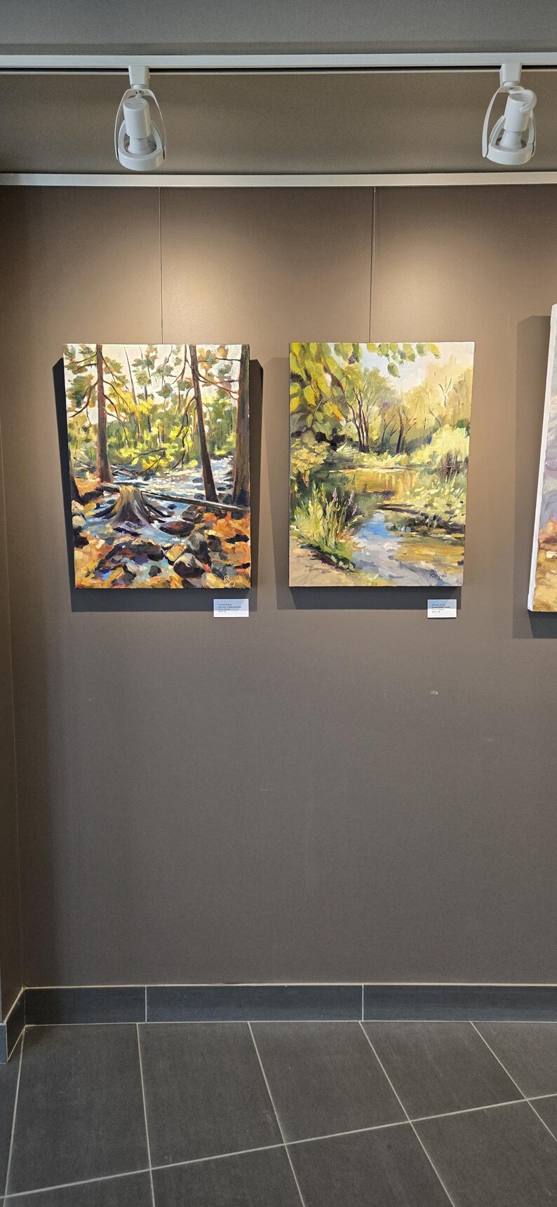 May include: Two landscape paintings hang on a gray wall. The paintings depict forest scenes with trees, water, and rocks. The artwork is displayed in a gallery setting with track lighting.