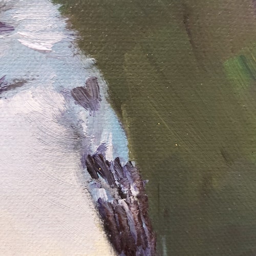 Original oil painting on canvas, shops bird, Costa Rica bird, painting of nature