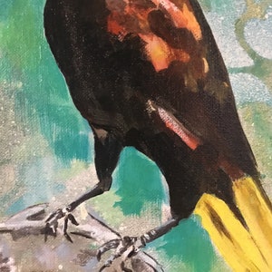 Op de afbeelding: Een schilderij van een zwarte vogel met een gele staart, die op een rots zit. De vogel heeft een rood-oranje borst en is geplaatst tegen een groen-witte achtergrond.