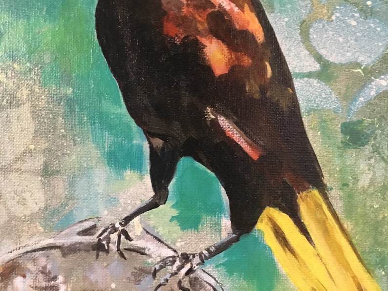 Op de afbeelding: Een schilderij van een zwarte vogel met een gele staart, die op een rots zit. De vogel heeft een rood-oranje borst en is geplaatst tegen een groen-witte achtergrond.