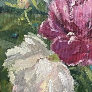 Pu&ograve; includere: Dipinto a olio in primo piano di peonie in piena fioritura. I fiori sono un mix di bianco e rosa intenso, con pennellate visibili. Foglie e boccioli verdi circondano i fiori.
