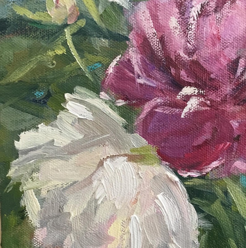 Pu&ograve; includere: Dipinto a olio in primo piano di peonie in piena fioritura. I fiori sono un mix di bianco e rosa intenso, con pennellate visibili. Foglie e boccioli verdi circondano i fiori.
