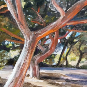 May include: An oil painting depicts trees with reddish-orange trunks and branches against a backdrop of green foliage. The artwork captures the play of light and shadow, with a focus on the textured bark and the dappled sunlight filtering through the leaves.