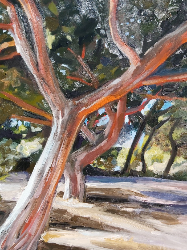 May include: An oil painting depicts trees with reddish-orange trunks and branches against a backdrop of green foliage. The artwork captures the play of light and shadow, with a focus on the textured bark and the dappled sunlight filtering through the leaves.