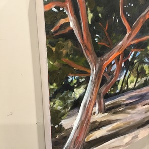 May include: Oil painting of a tree with reddish-orange bark and a light-colored trunk. The painting is set against a backdrop of green foliage and a hint of blue sky. The artwork is framed in a white border.