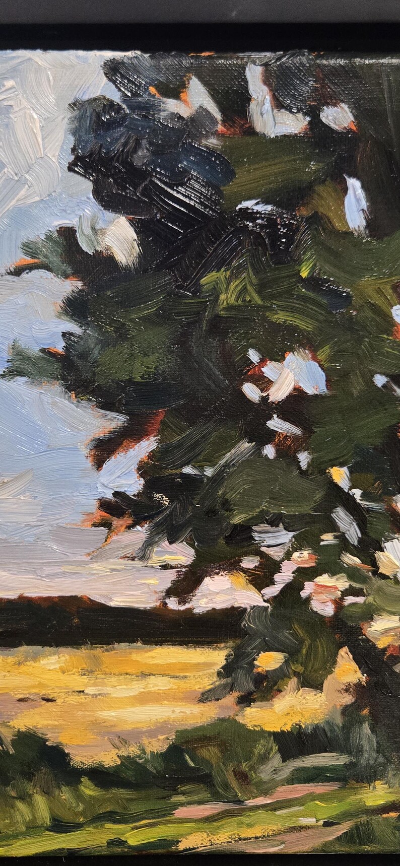 May include: Oil painting of a landscape with a tree in the foreground. The tree has dark green foliage with white and light blue highlights. The background features a yellow field and a light blue sky.
