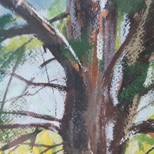 May include: A close-up of a tree trunk with branches reaching up towards the sky. The bark is a mix of brown, green, and white, and the branches are a dark brown. The background is a light blue sky.
