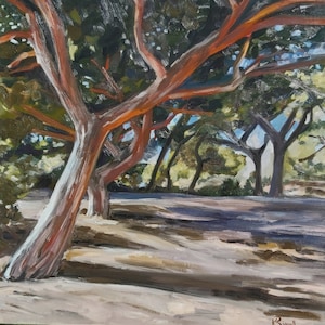 May include: An oil painting depicts a sunlit forest scene. The foreground features trees with reddish-brown trunks and branches, contrasted by green foliage. Shadows stretch across the sandy ground, with glimpses of blue sky visible through the trees. The artist's signature is in the bottom right corner.