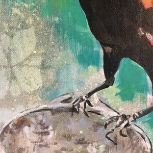 Op de afbeelding: Een zwarte vogel met gele accenten staat op een rond grijs oppervlak. De poten van de vogel zijn zichtbaar en hebben scherpe klauwen. De achtergrond is wazig groen en wit.