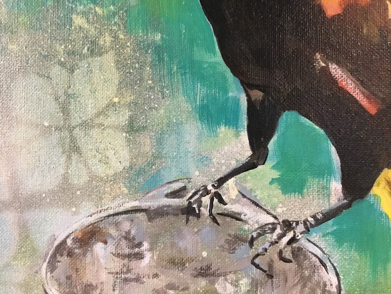 Op de afbeelding: Een zwarte vogel met gele accenten staat op een rond grijs oppervlak. De poten van de vogel zijn zichtbaar en hebben scherpe klauwen. De achtergrond is wazig groen en wit.