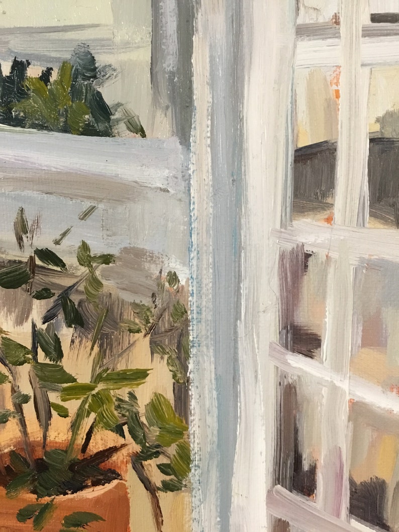 May include: A close-up of a potted plant with green leaves, partially obscured by a white window frame. The window frame has a light blue tint and is made of wood.