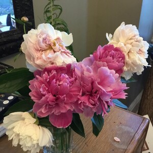 Pu&ograve; includere: Un vaso di vetro trasparente contiene un bouquet di peonie. I fiori variano dal rosa intenso al rosa pallido e al bianco. Foglie verdi e fronde di felce aggiungono contrasto. La composizione &egrave; su una superficie di legno.