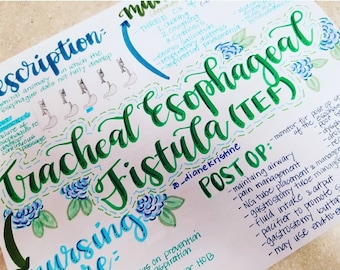 Tracheal Esophageal Fistula (TEF)- Nursing Notes/ Concept Map- Pediatrics Semester Fall 2018