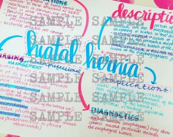 Hiatal Hernia- Nursing Notes/ Concept Map- Medical Surgical Semester