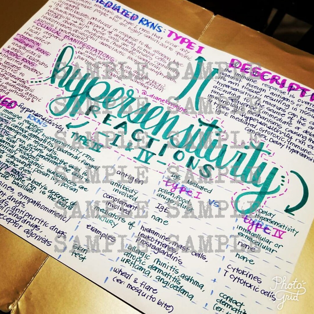 Hypersensitivity Reactions 1 & 4- Nursing Notes/ Concept Map- Medical ...