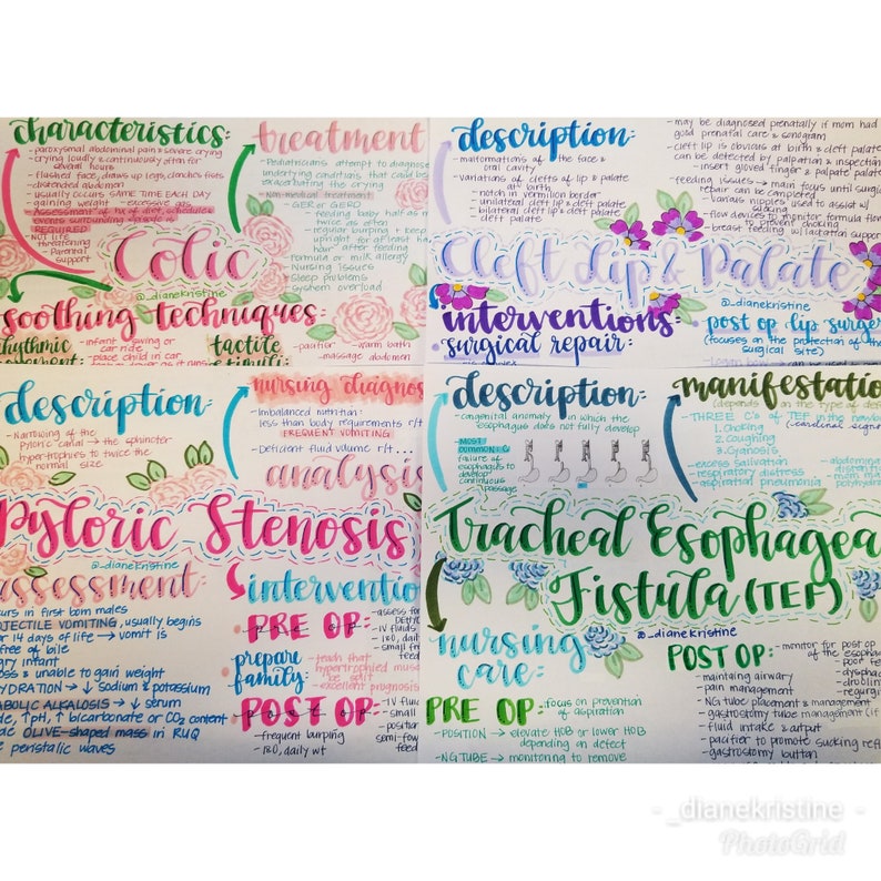 Pediatrics COMPLETE Bundle (36 Pages)- Nursing Notes/ Concept Map- Fall ...