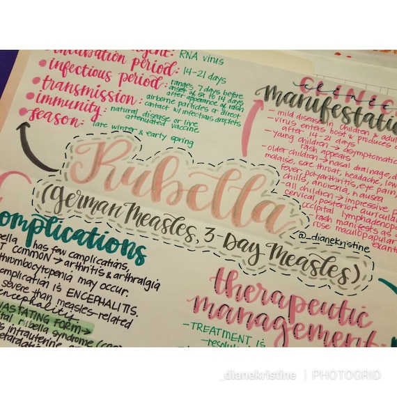 Rubella German Measles Nursing Notes Concept Map Etsy