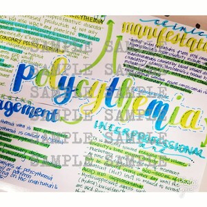 Polycythemia- Nursing Notes/ Concept Map- Medical Surgical Semester
