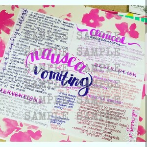 Nausea and Vomiting- Nursing Notes/ Concept Map- Medical Surgical Semester