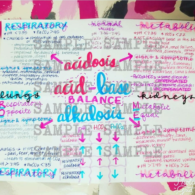 Acid Base Balance ABG's Nursing Notes/ Concept Map Medical Surgical Semester image 1