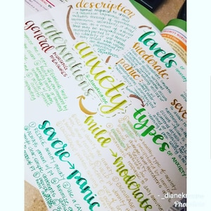 Anxiety- Nursing Notes/ Concept Map- Mental Health Semester