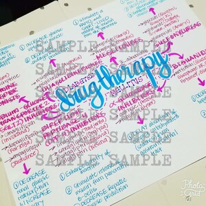 May include: A handwritten chart with pink and blue arrows outlining different drug therapies for diabetes mellitus. The chart includes categories such as "sulfonylureas", "meglitinides", "biguanides", "alpha-glucosidase inhibitors", "DPP-4 inhibitors", "SGLT2 inhibitors", and "bipeptidyl", with examples of medications listed under each category.